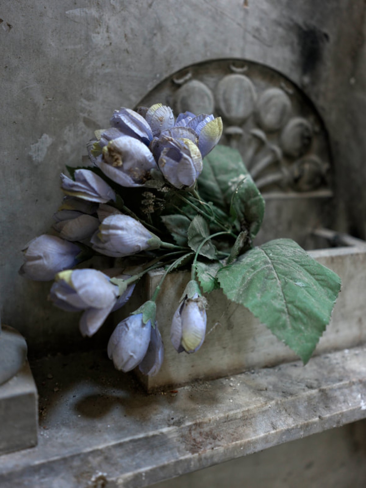 Steven Seidenberg 14